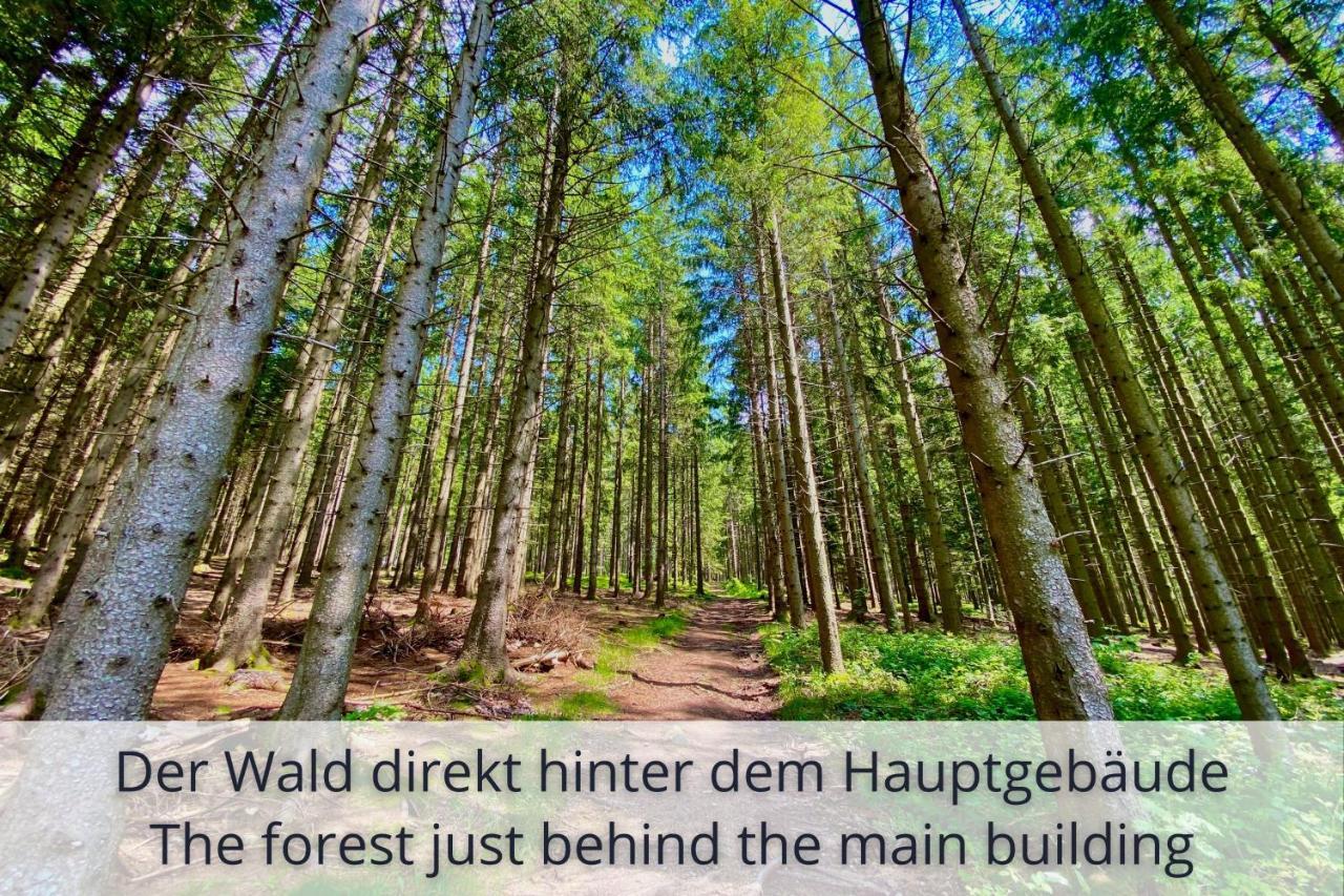 Auszeit Apartment Black Forest Schonach im Schwarzwald Kültér fotó