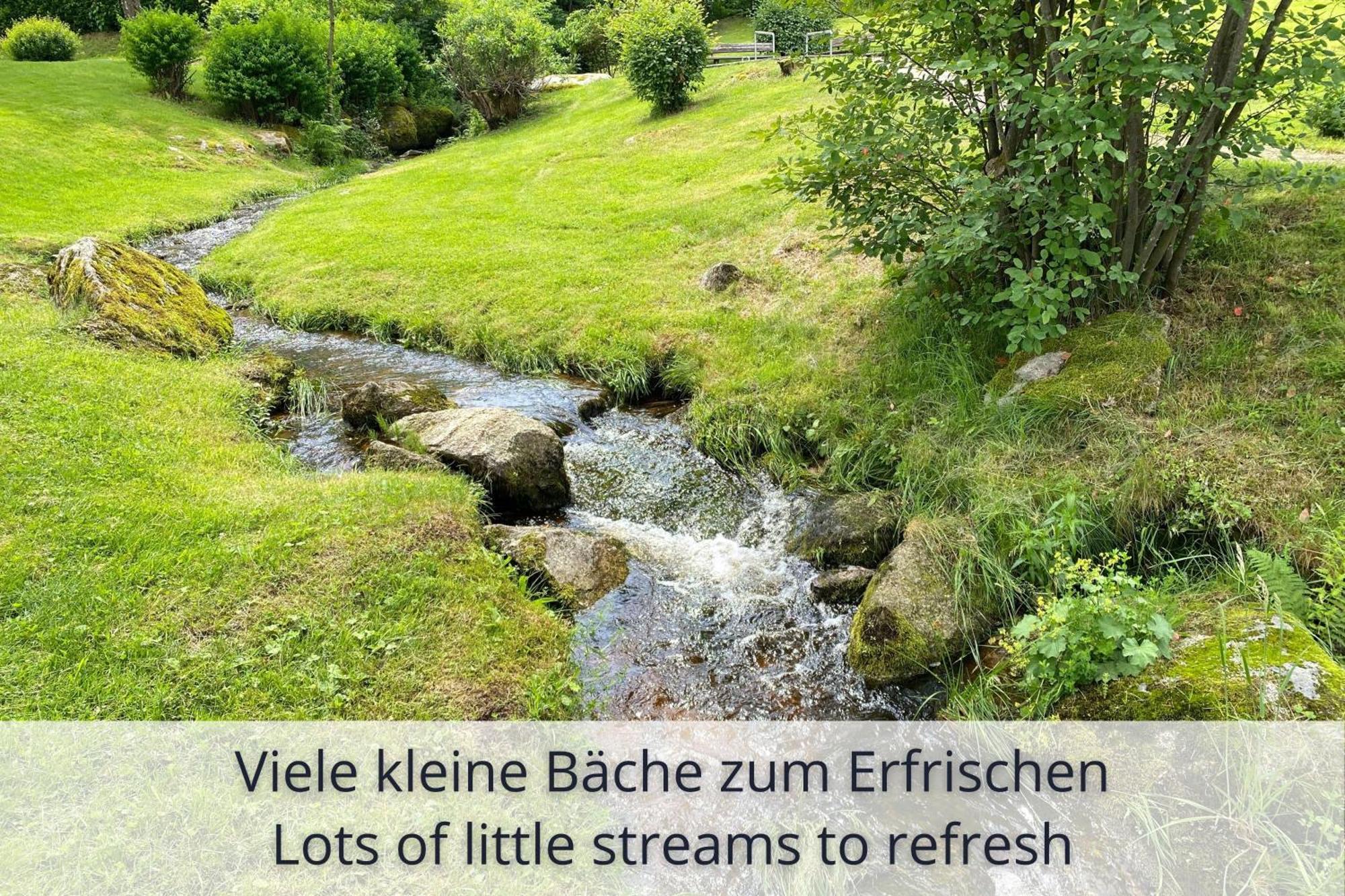 Auszeit Apartment Black Forest Schonach im Schwarzwald Kültér fotó