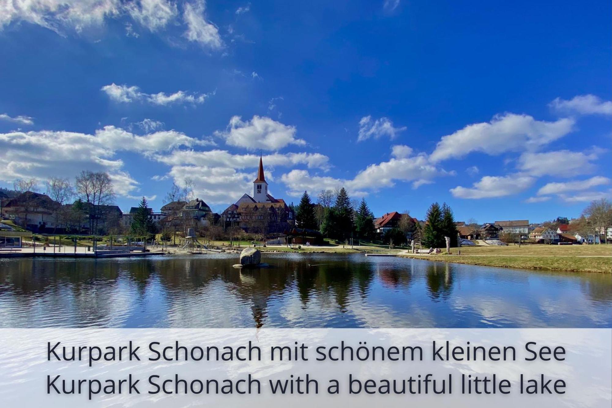 Auszeit Apartment Black Forest Schonach im Schwarzwald Kültér fotó