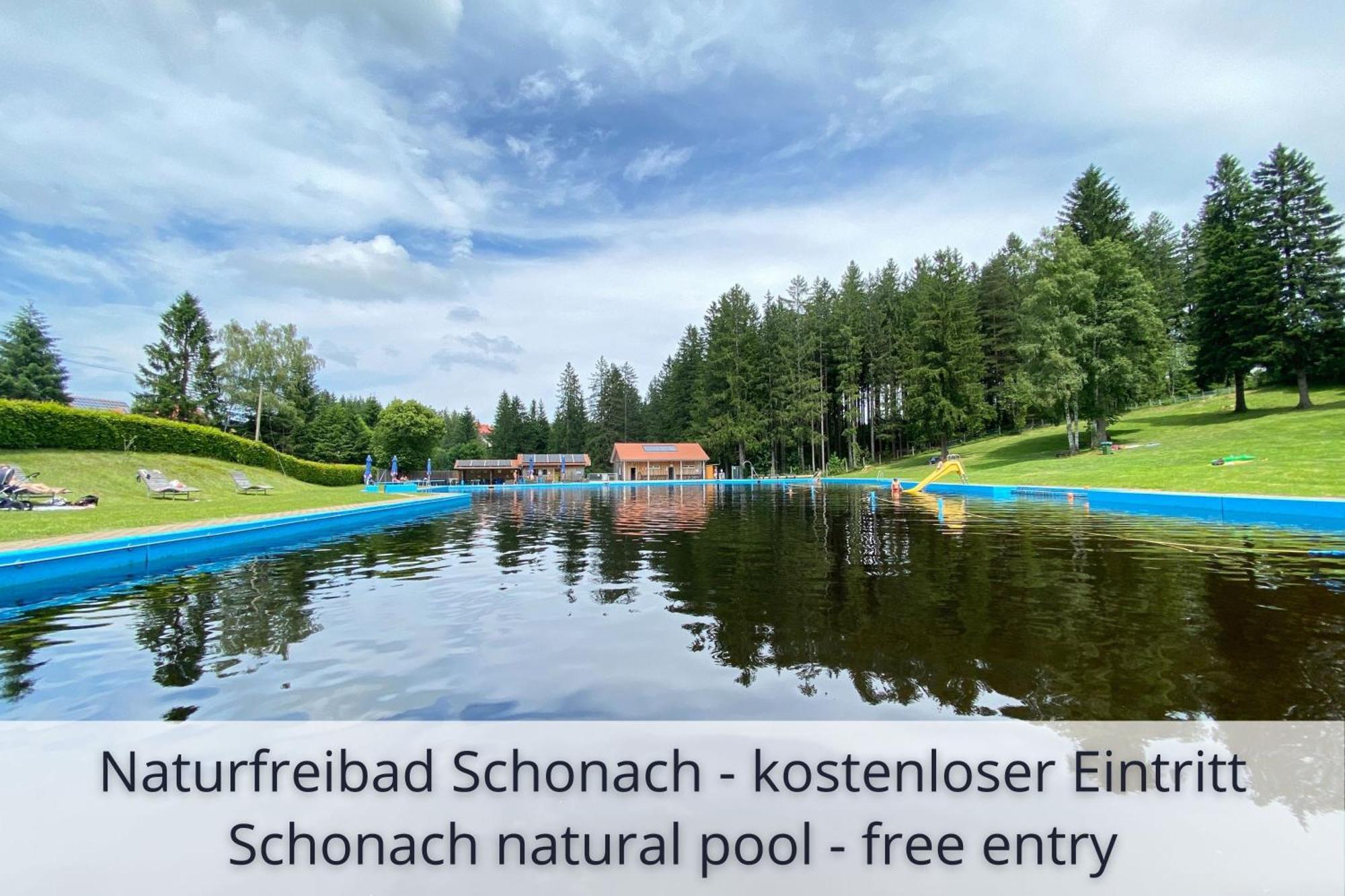 Auszeit Apartment Black Forest Schonach im Schwarzwald Kültér fotó