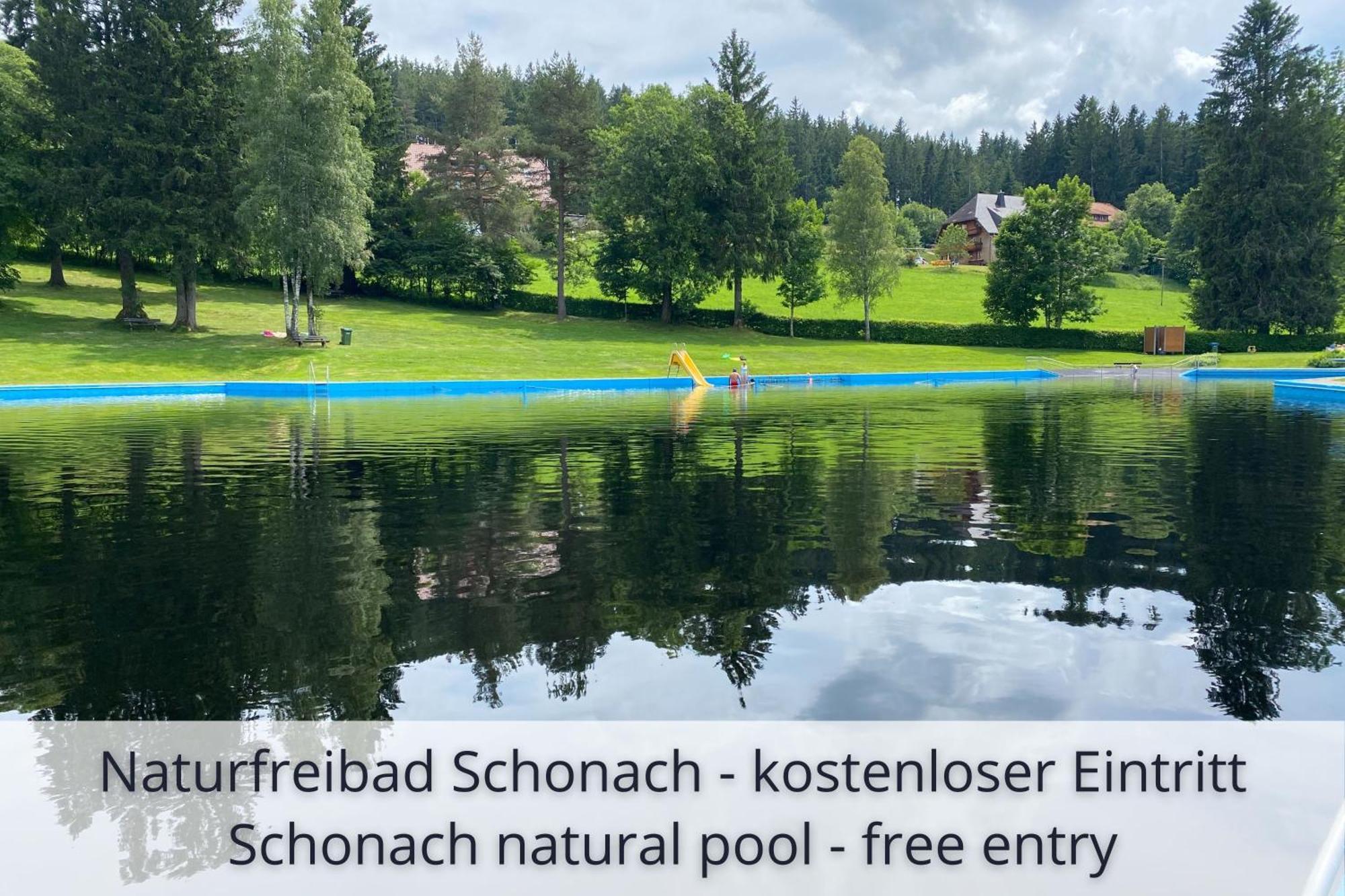 Auszeit Apartment Black Forest Schonach im Schwarzwald Kültér fotó