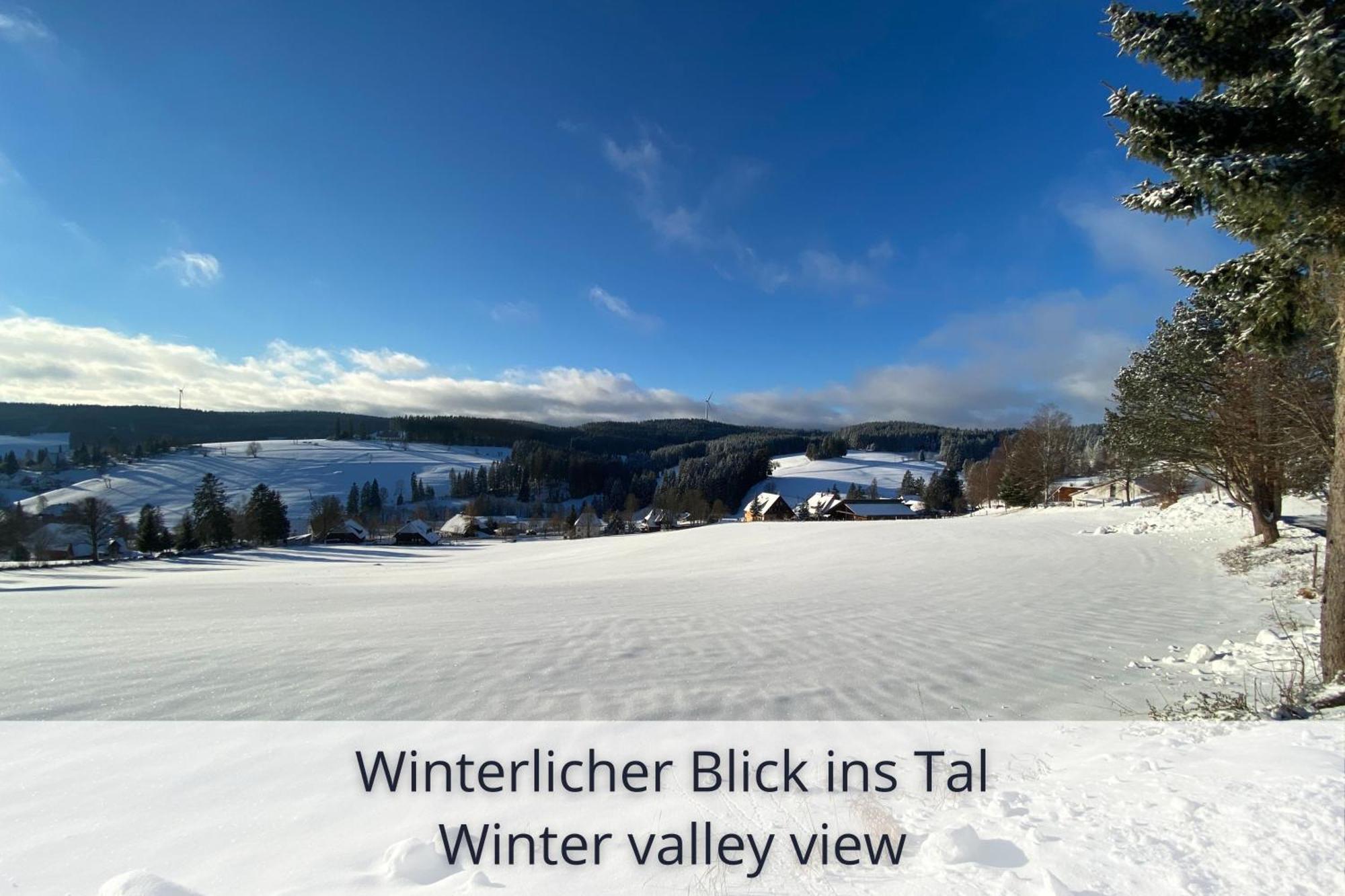 Auszeit Apartment Black Forest Schonach im Schwarzwald Kültér fotó