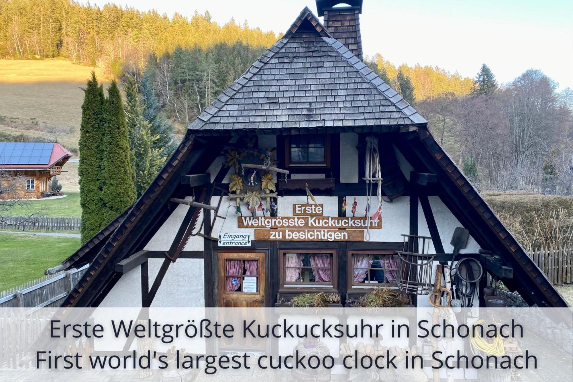 Auszeit Apartment Black Forest Schonach im Schwarzwald Kültér fotó