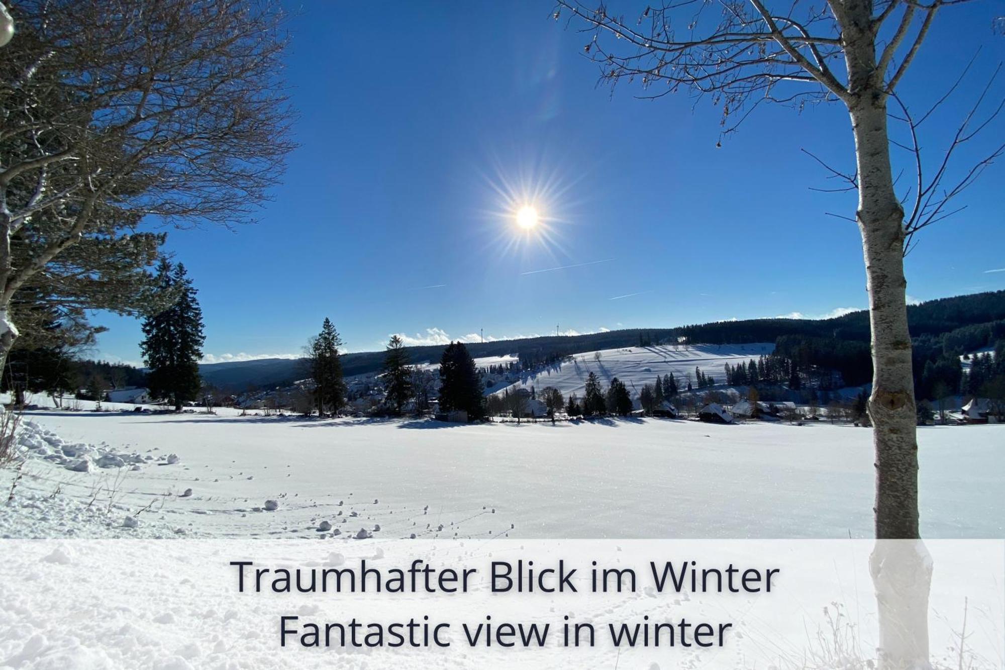 Auszeit Apartment Black Forest Schonach im Schwarzwald Kültér fotó